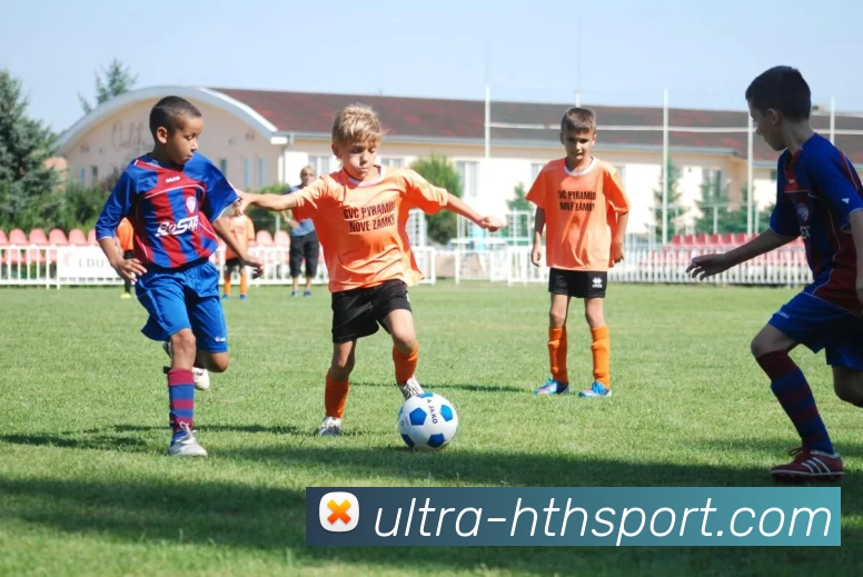 hth体育发展历程